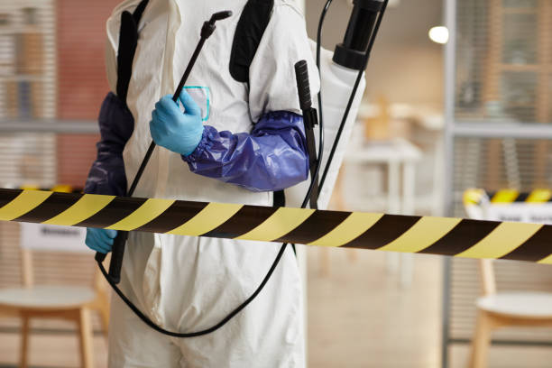Professional Sewage Cleanup technician working in Hudson, IA